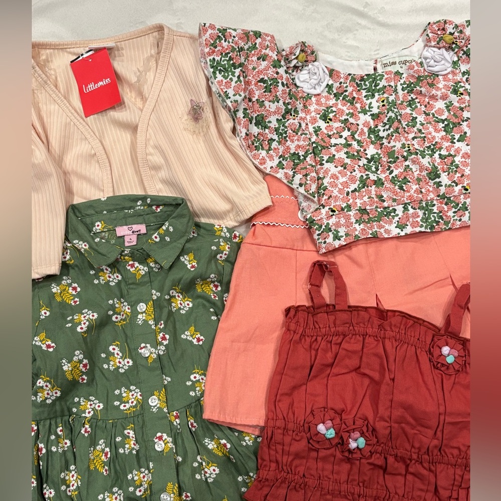 4t Girl Clothes Bundle
